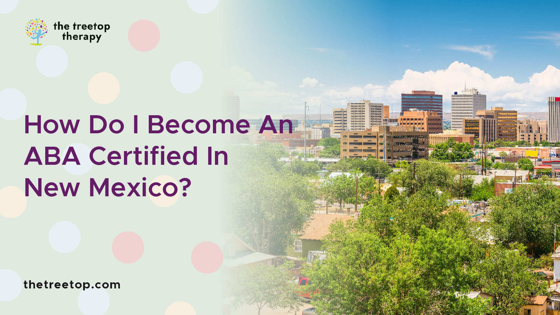 how do i become an aba certified in new mexico1 100